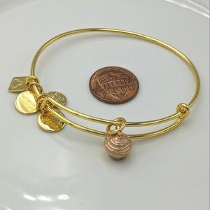 Alex and Ani Shiny Gold Pink Cupcake Bracelet CBD